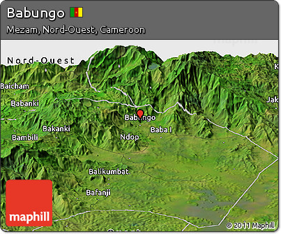 Satellite Panoramic Map of Babungo