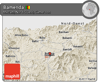 Shaded Relief Panoramic Map of Bamenda