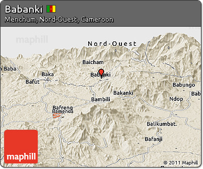 Shaded Relief Panoramic Map of Babanki