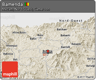 Shaded Relief Panoramic Map of Bamenda