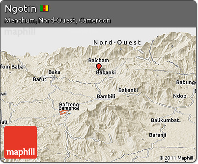 Shaded Relief Panoramic Map of Ngotin