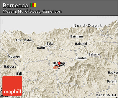 Shaded Relief Panoramic Map of Bamenda