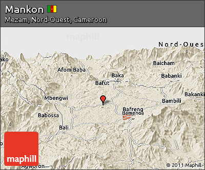 Shaded Relief Panoramic Map of Mankon