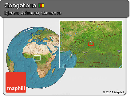 Satellite Location Map of Gongatoua