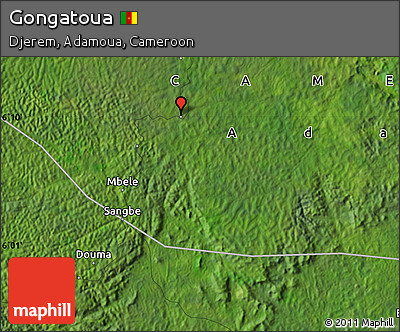 Satellite Map of Gongatoua
