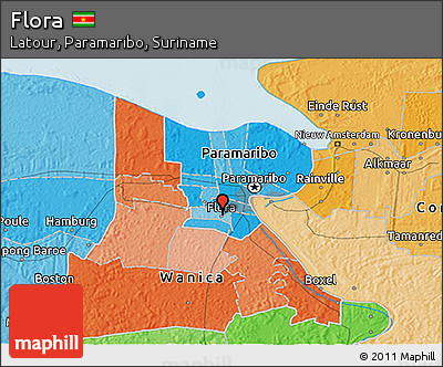 Political 3D Map of Flora
