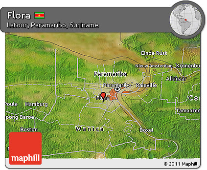 Satellite 3D Map of Flora