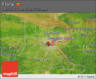 Satellite 3D Map of Flora