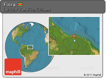 Satellite Location Map of Flora