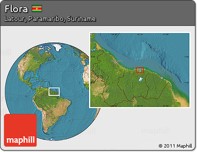 Satellite Location Map of Flora