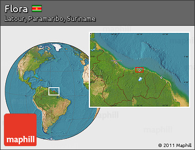 Satellite Location Map of Flora