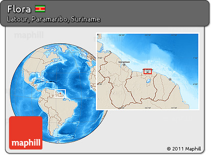 Shaded Relief Location Map of Flora