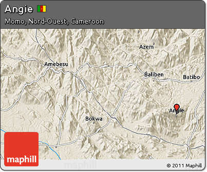 Shaded Relief 3D Map of Angie