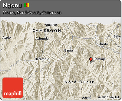 Shaded Relief 3D Map of Ngonu