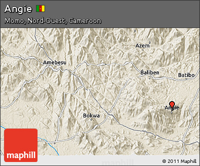 Shaded Relief 3D Map of Angie