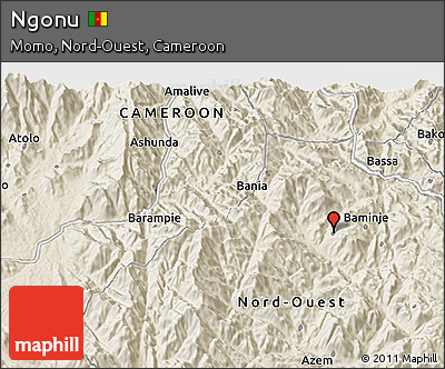 Shaded Relief 3D Map of Ngonu