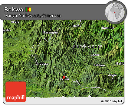Satellite Panoramic Map of Bokwa
