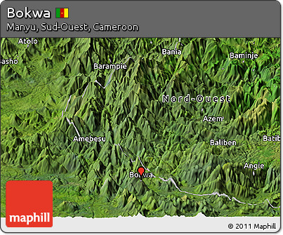 Satellite Panoramic Map of Bokwa