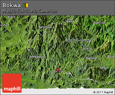 Satellite Panoramic Map of Bokwa