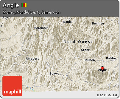 Shaded Relief Panoramic Map of Angie