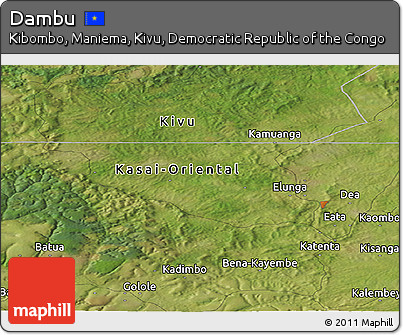 Satellite Panoramic Map of Dambu