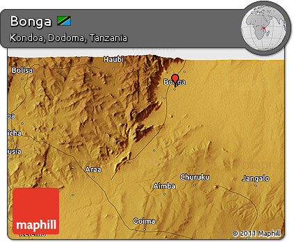 Physical 3D Map of Bonga