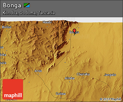 Physical 3D Map of Bonga