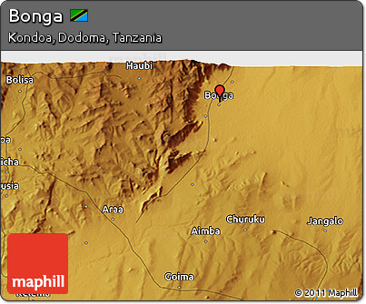 Physical 3D Map of Bonga