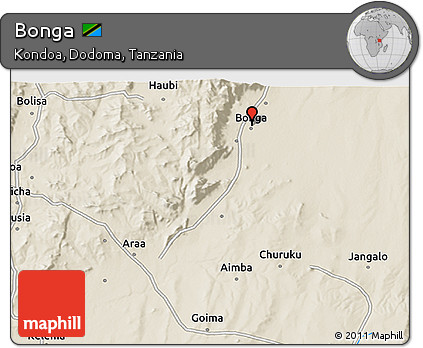 Shaded Relief 3D Map of Bonga