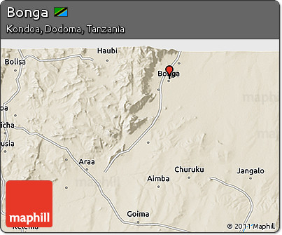 Shaded Relief 3D Map of Bonga
