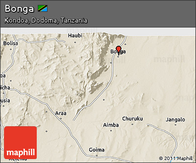 Shaded Relief 3D Map of Bonga