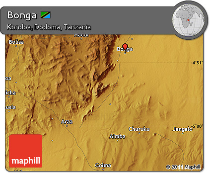 Physical Map of Bonga