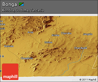 Physical Panoramic Map of Bonga