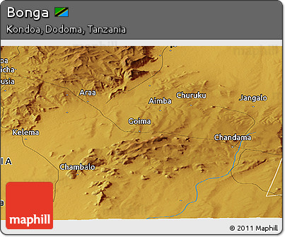 Physical Panoramic Map of Bonga