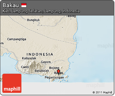 Shaded Relief Panoramic Map of Bakau