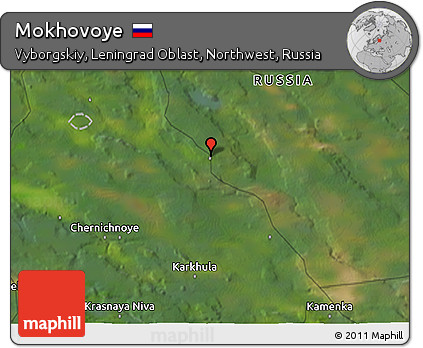 Satellite 3D Map of Mokhovoye