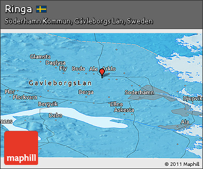 Political Panoramic Map of Ringa