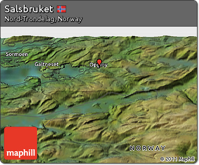 Satellite 3D Map of Salsbruket