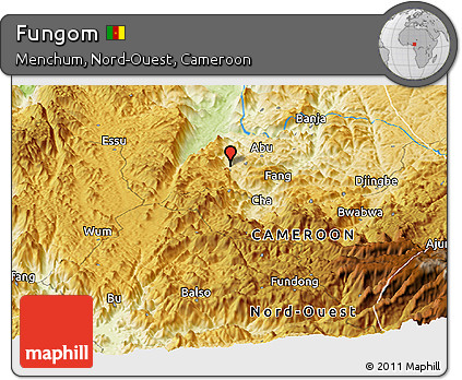 Physical Panoramic Map of Fungom