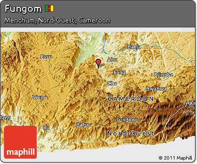 Physical Panoramic Map of Fungom