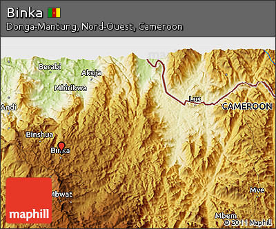 Physical 3D Map of Binka