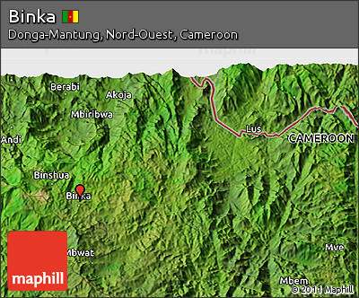 Satellite 3D Map of Binka