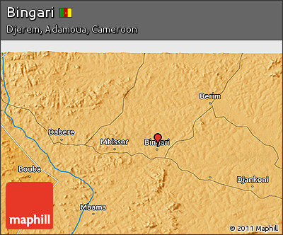 Political 3D Map of Bingari