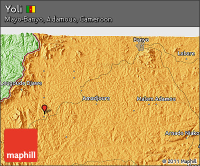 Political 3D Map of Yoli