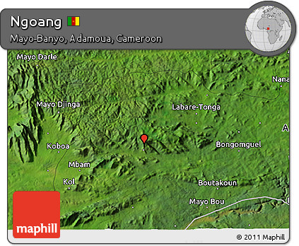 Satellite 3D Map of Ngoang