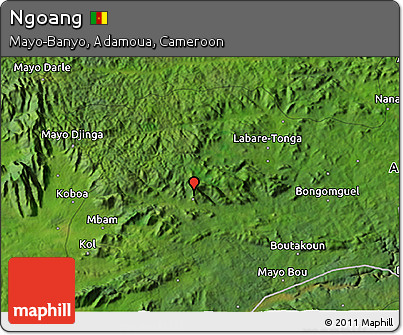 Satellite 3D Map of Ngoang
