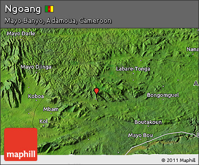 Satellite 3D Map of Ngoang