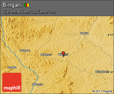 Physical Map of Bingari