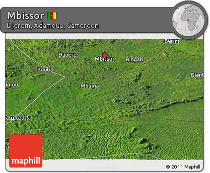 Satellite Panoramic Map of Mbissor