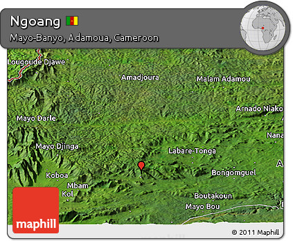 Satellite Panoramic Map of Ngoang